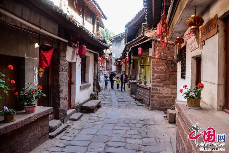 山东：小麦苗情好　粮农底气足